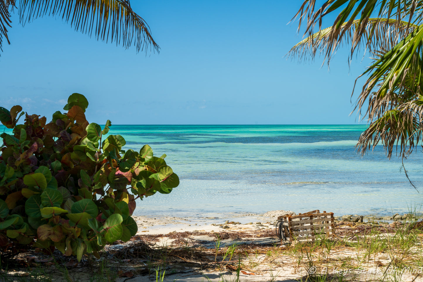 Key West NWR #2