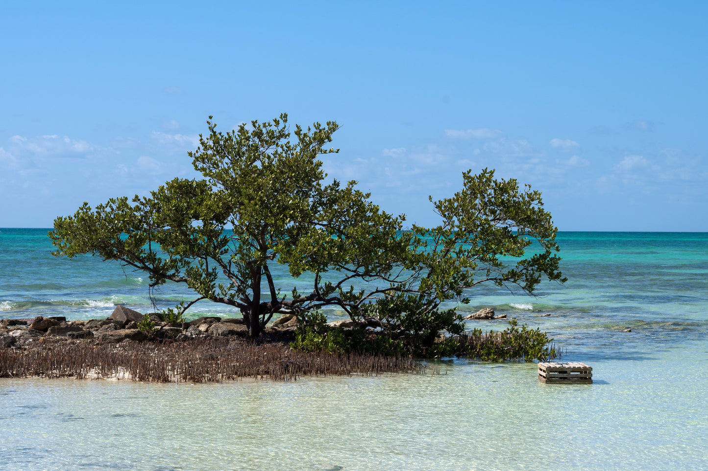 Key West NWR #1